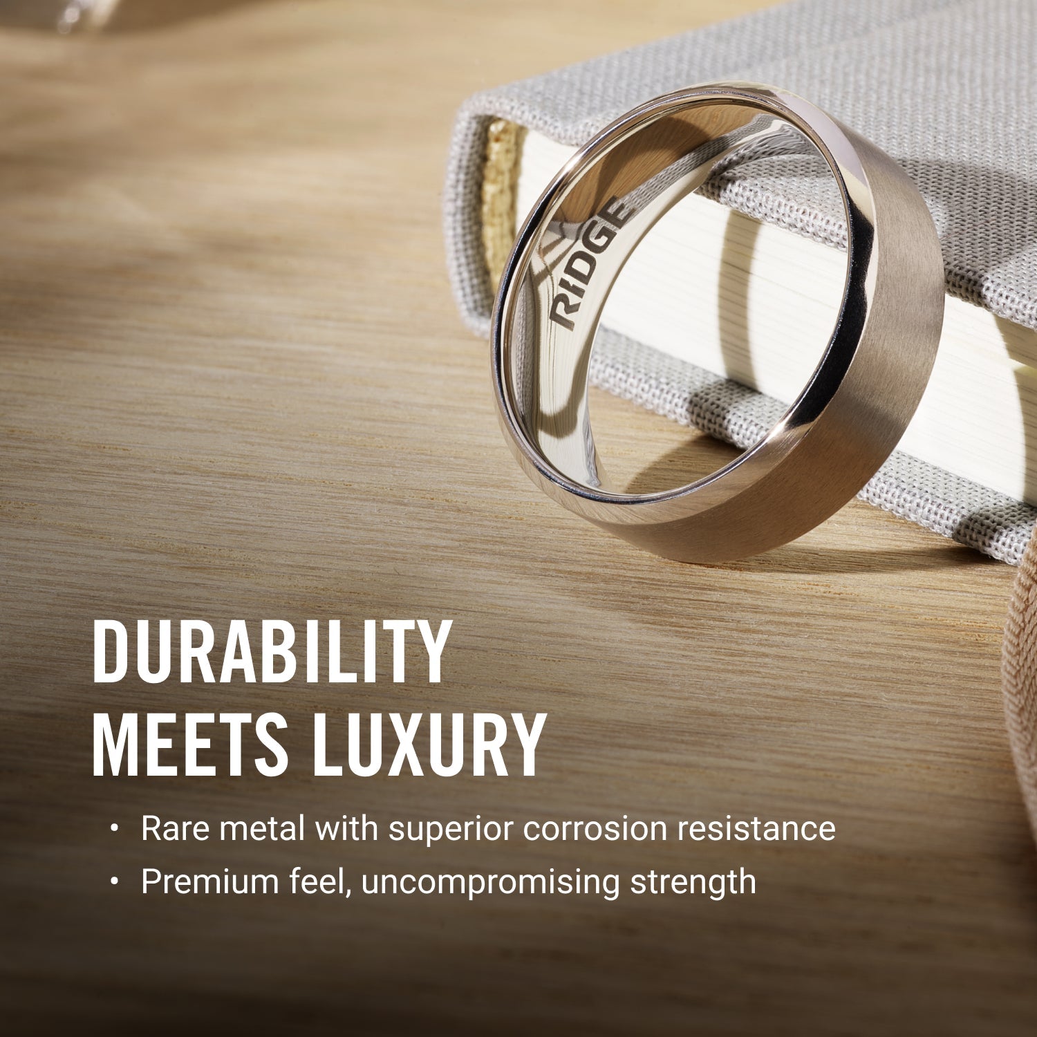 6mm Rounded Ring Set - 24K Gold - Tantalum Carbide