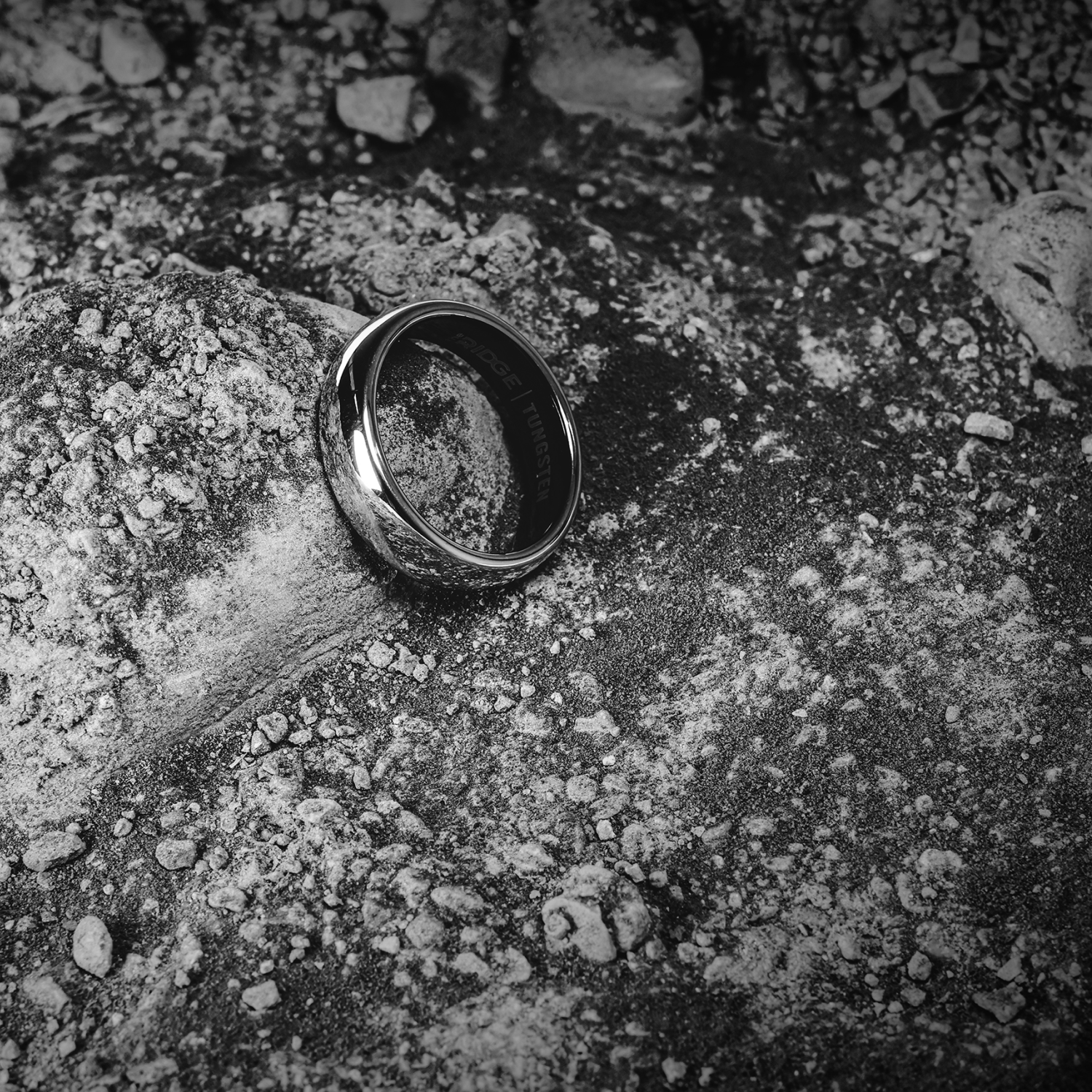 6mm Rounded Ring Set - Platinum