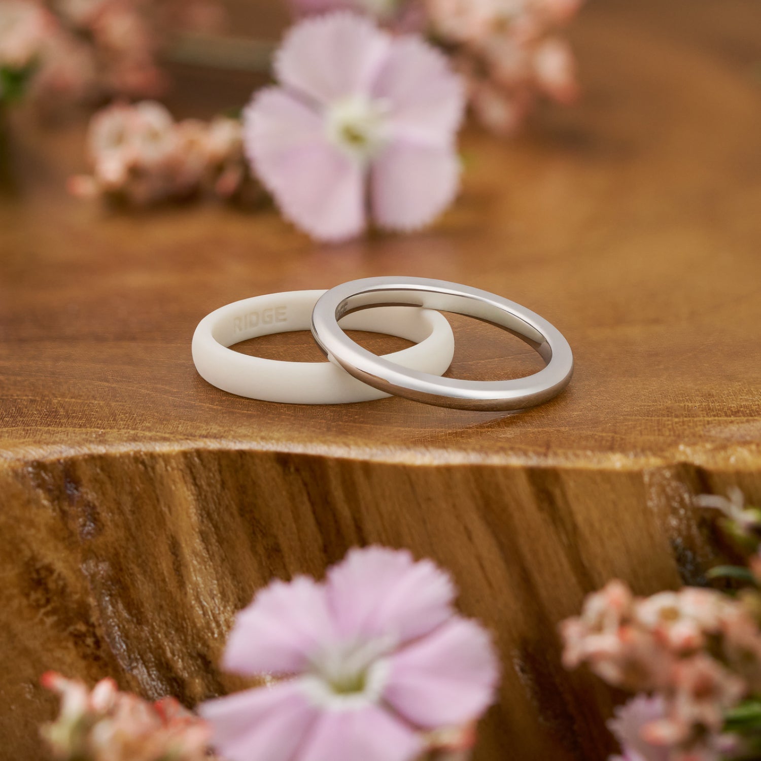 2mm Rounded Ring Set - 14K White Gold