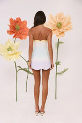 Dewdrop Dreams Ombre Strapless Mini Dress
